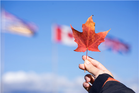 加拿大留学|加拿大具有潜力专业|加拿大热门专业