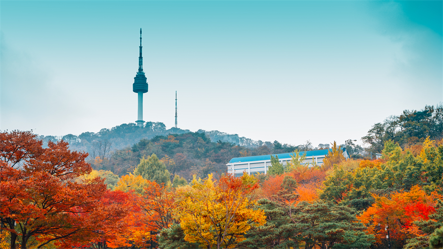 韩国留学|韩国留学费用