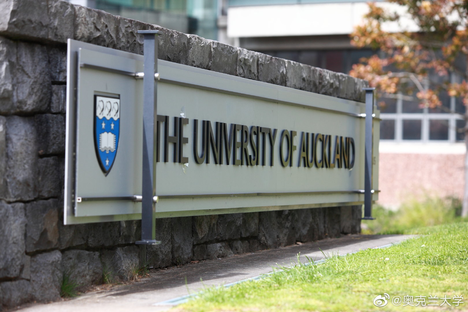 新西兰留学|奥克兰大学