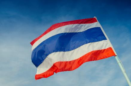 泰国第一面国旗图片
