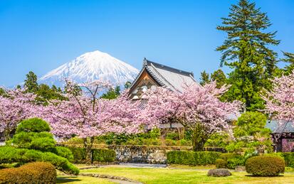 日本留学