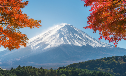 日本留学条件