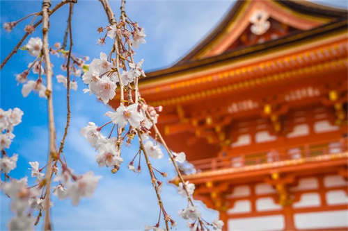 日本入管局通知！日语等级证书将成为申请语言学校的必备材料！