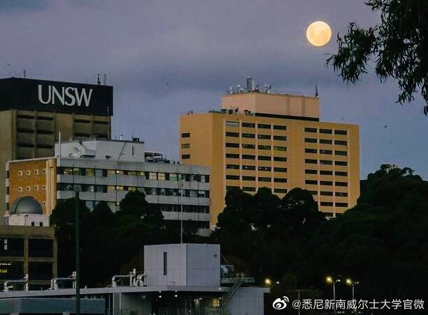 新南威尔士大学