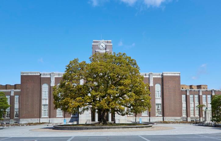 京都大学