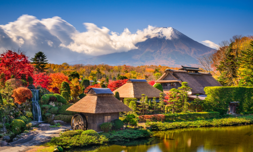 日本留学