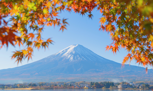 沈阳日本留学