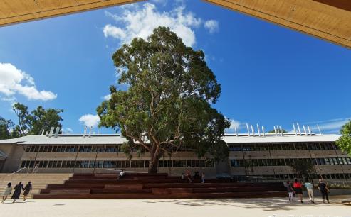 莫道克大学留学