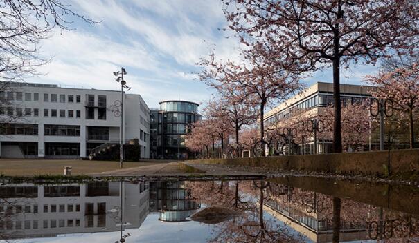 哥廷根大学