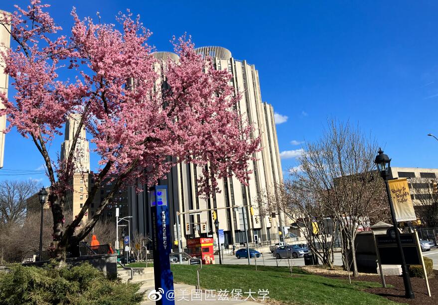 匹兹堡大学