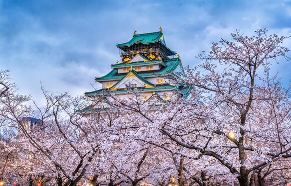 2025年，去日本留学有意义吗？