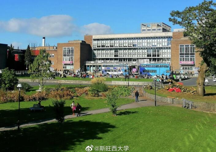 斯旺西大学