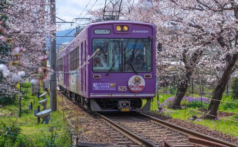 日本留学