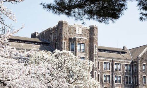 韩国延世大学