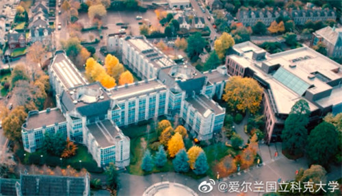 科克大学